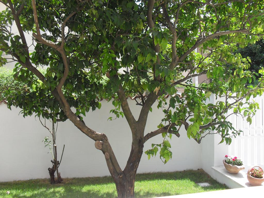 Casa Santolina B&B Roma Exterior foto